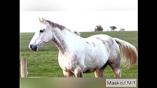 Horny Milf takes big horse dick dildo mix of | Masked Milf