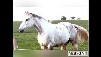 Horny Milf takes big horse dick dildo mix of | Masked Milf